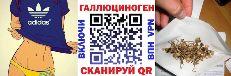 как найти наркотики  Ялуторовск  Галлюциногенные грибы мицелий 